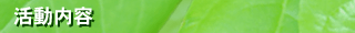 活動内容
